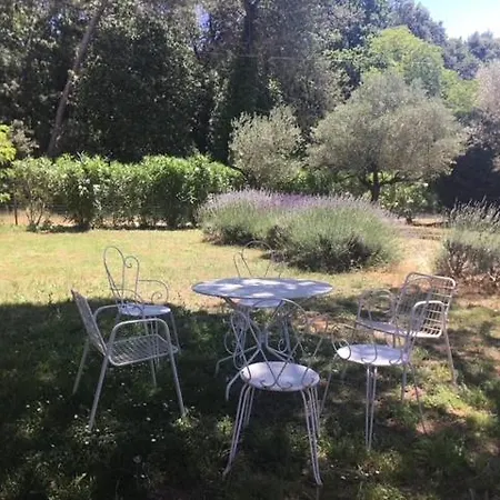 Du Cypres, 12 Pers Et Piscine